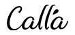 Calla Long Sleeved Leotard Martha